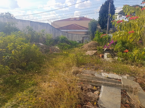 Imagem 18 de 30 de Terreno-são Paulo-jardim Prudência | Ref.: Reo16669 - Reo16669