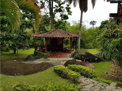 Venta Finca En Yolombo Via Gomez Plata