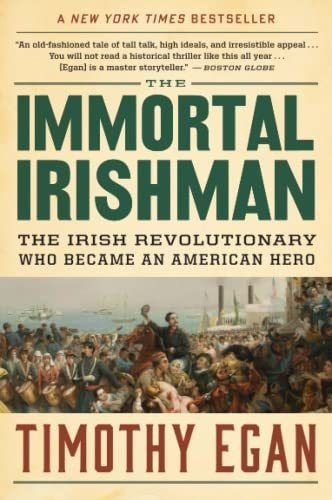 Book : The Immortal Irishman The Irish Revolutionary Who...