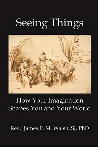 Seeing Things, De James P M Walsh. Editorial New Academia Publishing Spring, Tapa Blanda En Inglés