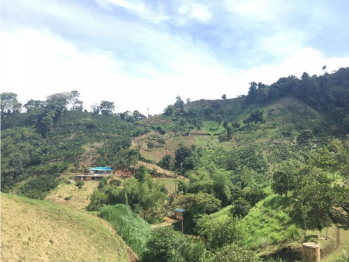 Vendo Finca Con Excelente Terreno Para Siembra