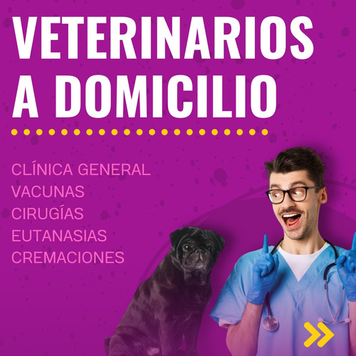 Veterinarios A Domicilio 24 Hs Oeste/sur Eutanasia.cremacion