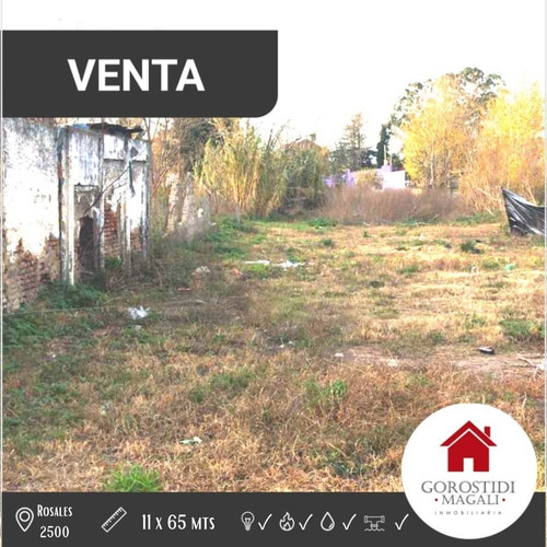Imagen 1 de 1 de Oportunidad- Lote En Venta