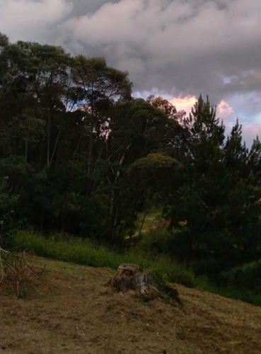 Imagem 7 de 12 de Terreno Agriculturável. Possui Um Posso Semi Artesiano