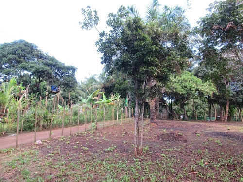Imagem 8 de 14 de Terreno Itacare Bahia Bairro Ribeirinha