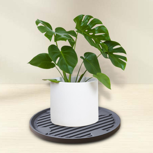 Soporte Rodante Para Con Gris Diámetro Exterior 28cm