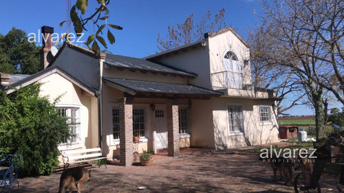 Imagen 3 de 14 de Venta Finca Uruguay