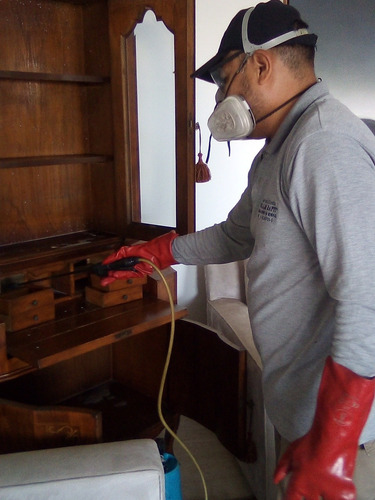 Imagen 5 de 5 de Fumigaciones Fullmi Rapit: Permiso Sanitario Dd-698 Af-099