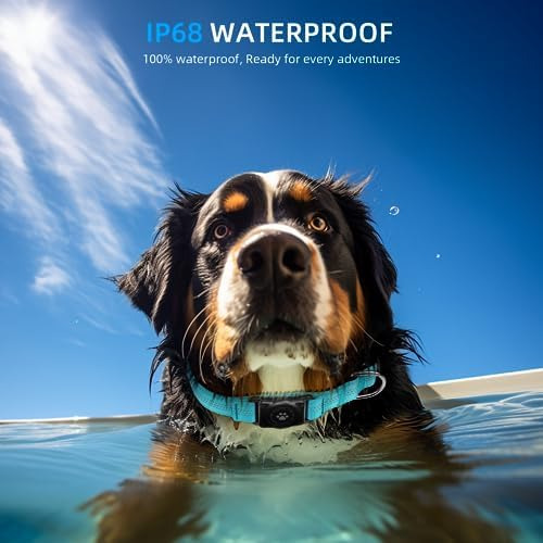 Airtag - Collar De Perro, Resistente Al Agua Ip68, Soporte P