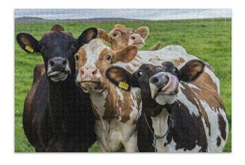 Rompecabeza - Qilmy 500 Pcs Jigsaw Puzzles - Four Funny Cows