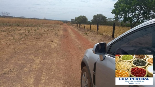 Fazenda À Venda Em Gurupi - To - De 20 Alqueirões (pecuária) - 1494