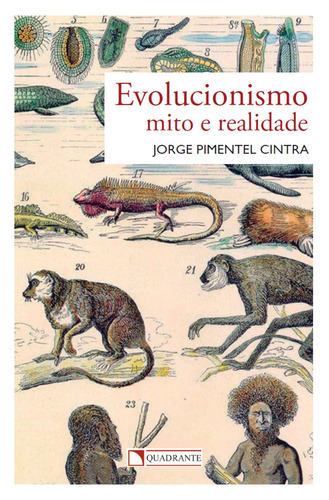 Pocket Evolucionismo - Mito e Realidade - Coleção Atualidades: MITO E REALIDADE, de Cintra, Jorge Pimentel. Pocket Atualidades Editorial Quadrante Editora, capa mole em português, 2024