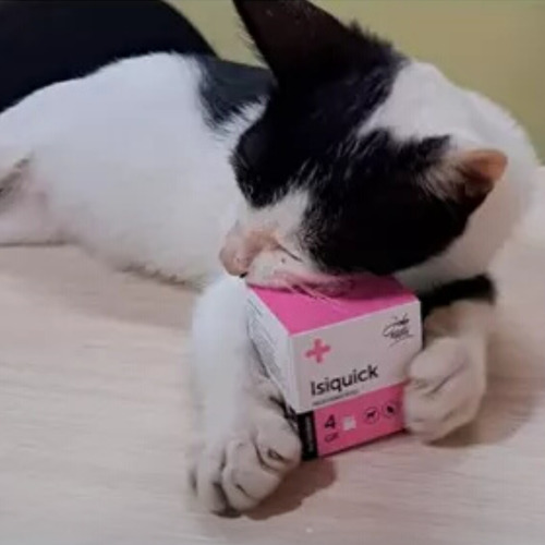 Polvo Cauterizador De Uñas Para Mascota Isiquick Hemostático