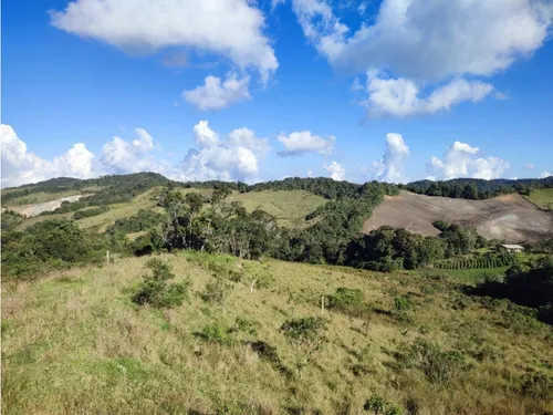 Finca En Venta Carmen De Viboral, Vía La Unión Antioquia 50 Cuadras.