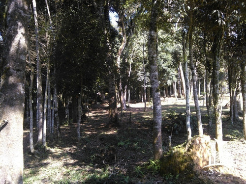 Chacara - Ch00002 - 32291847