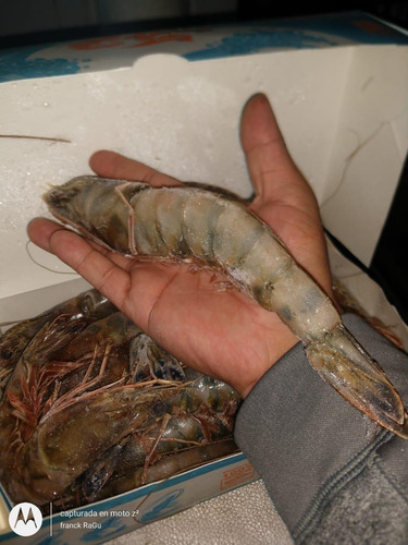 Imagen 8 de 10 de Pescado Marisco Y Cortes