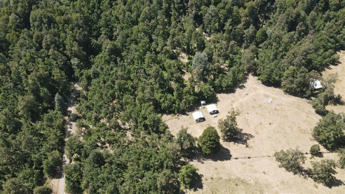 Imagen 1 de 25 de Parcela En Venta De 5000 M2 Con Dos Casas Nuevas