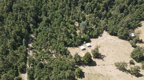 Parcela En Venta De 5000 M2 Con Dos Casas Nuevas