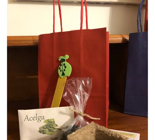 Mini Kit Huerta Para Niños