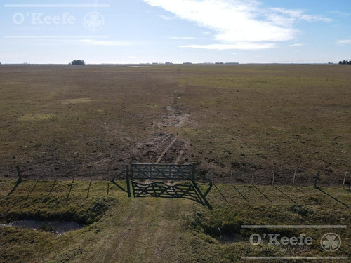 Imagen 1 de 21 de Dolores, 100 Has En Venta. Campo Ganadero Para Armar.