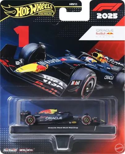 Hot Wheels Carro De Corrida F1 Williams #55 Sainz Premium J