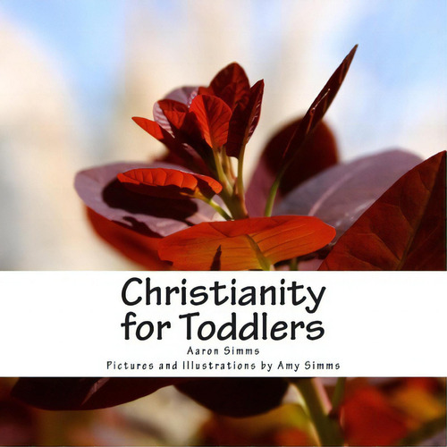 Christianity For Toddlers, De Rev Aaron Simms., Vol. 1. Editorial Createspace Independent Publishing Platform, Tapa Blanda En Inglés
