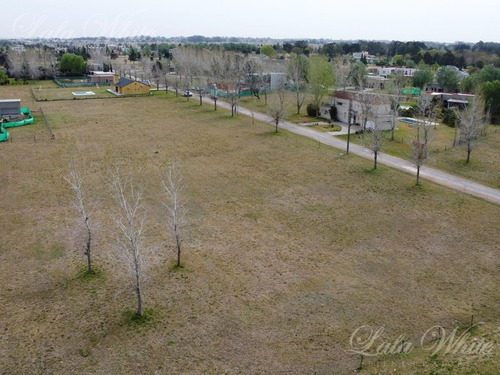 Imagen 9 de 14 de Venta - Lote En Fincas De San Vicente Golf