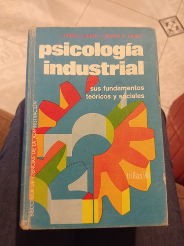 Psicología Industrial Sus Fundamentos Teóricos Y Sociales 