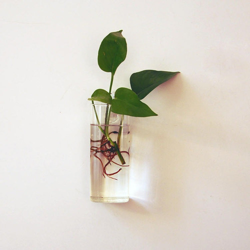 2 Macetas Rectangulares De Cristal Para Colgar En La Pared,