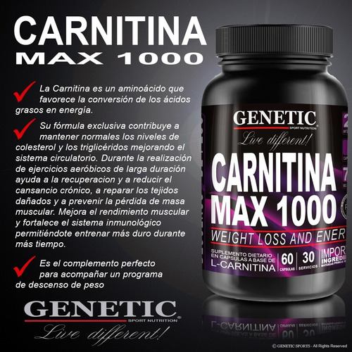 Masa Muscular Definida Glutamina Creatina Carnitina Genetic