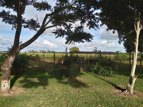 Imagen 8 de 9 de Se Vende Finca En Orocual Ve02-014zn-ic