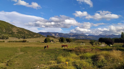 Imagen 9 de 30 de Susana Aravena Propiedades- Lote En Venta En San Martin De Los Andes