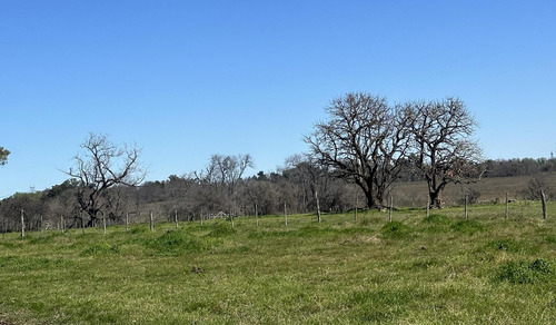 Venta Lotes - Estancia Carabassa | Vco Propiedades