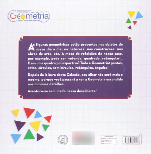 Livro De Qualquer Ângulo, Triângulo É Triângulo - Col. Geometria