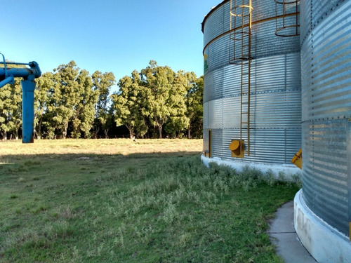 Imagen 3 de 12 de Planta De Silos Vendo O Alquilo