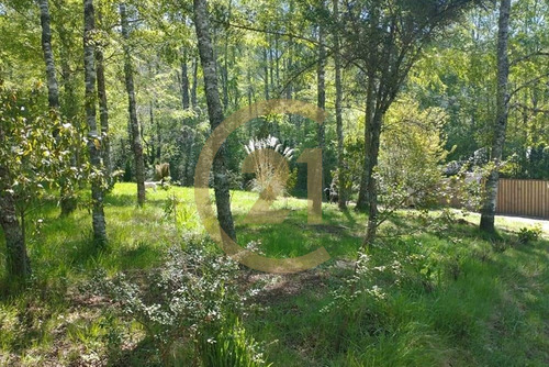 Conjunto De 4 Cabaña A 10 Min De Villarrica Relun