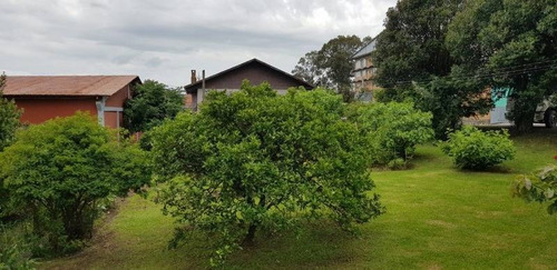 Imagem 2 de 9 de Terreno - Sao Ciro - Ref: 7847 - V-7847