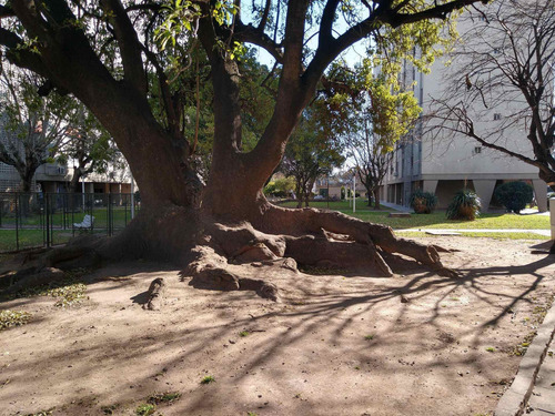 Imagen 10 de 30 de Venta 3 Ambientes, Complejo Con Jardin