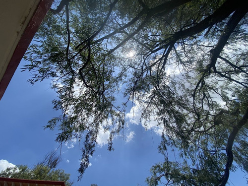 Vendo El Mejor Terreno De Bosques De Viena
