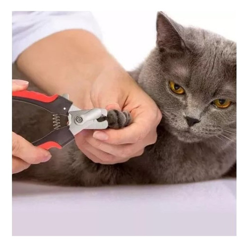 Corta Uñas Para Perro O Gatos Acero Inoxidable Kit + Lima