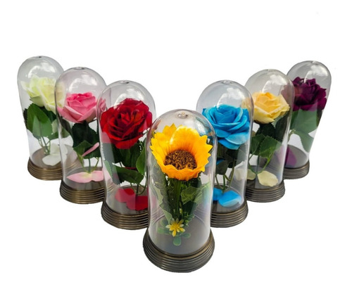 Kit 12 Cúpulas Médias A Bela E A Fera A Rosa Encantada
