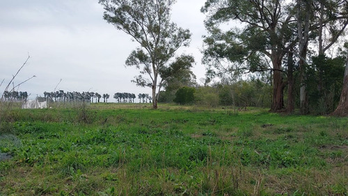 Lote En Venta En La Cañada I, City Bell