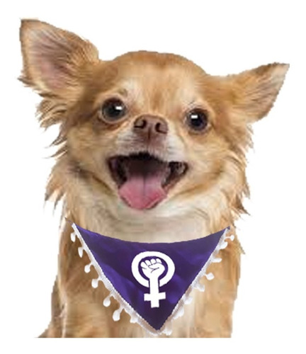 Paliacate 8 De Marzo Feminista Para Mascotas 2 Piezas