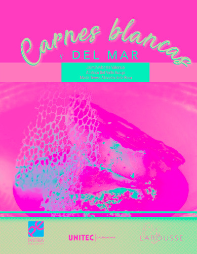Carnes Blancas Y Del Mar: Serie Unitec, De Montes Valencia, Jazmín. Editorial Patria Educación/larousse Cocina, Tapa Blanda En Español, 2021