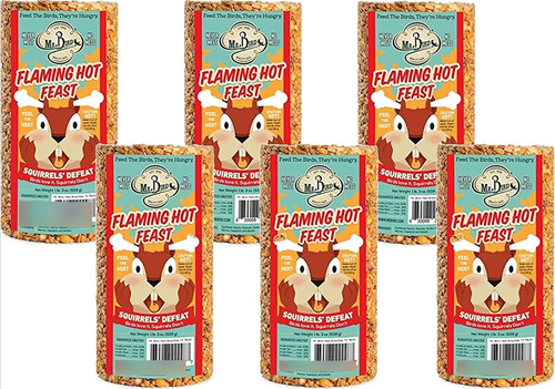 Paquete De 6 Cilindros Pequeños  Flaming Hot Feast De 19 Oz.