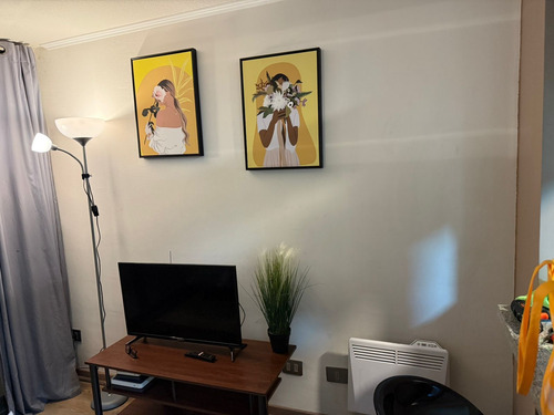 Arriendo Departamento Estudiantes Usach