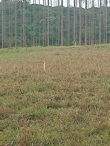 Imagem 12 de 14 de V20- Venha Aproveitar Terrenos Em Aruja Com Facil Acesso