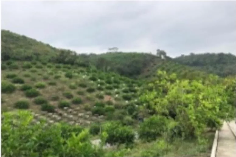 Excelente Rancho En Venta Ubicado En El Municipio Gutíerrez Zamora, Veracruz.