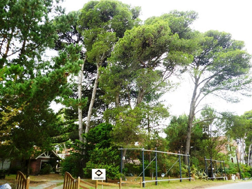 Imagen 4 de 8 de Lote Multifamiliar Centrico En Pinamar Con Potencial Para Construir 20 Unidades