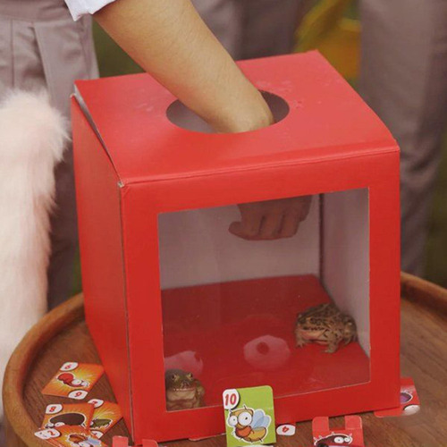 Caja De Juego De Pelota De Rifa, Caja De Recaudación De